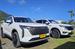 Airport Private Vehicle Transfers - International, Raro Tours Direct