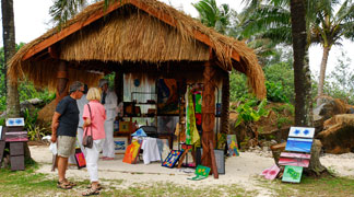 Saturday Market Tours